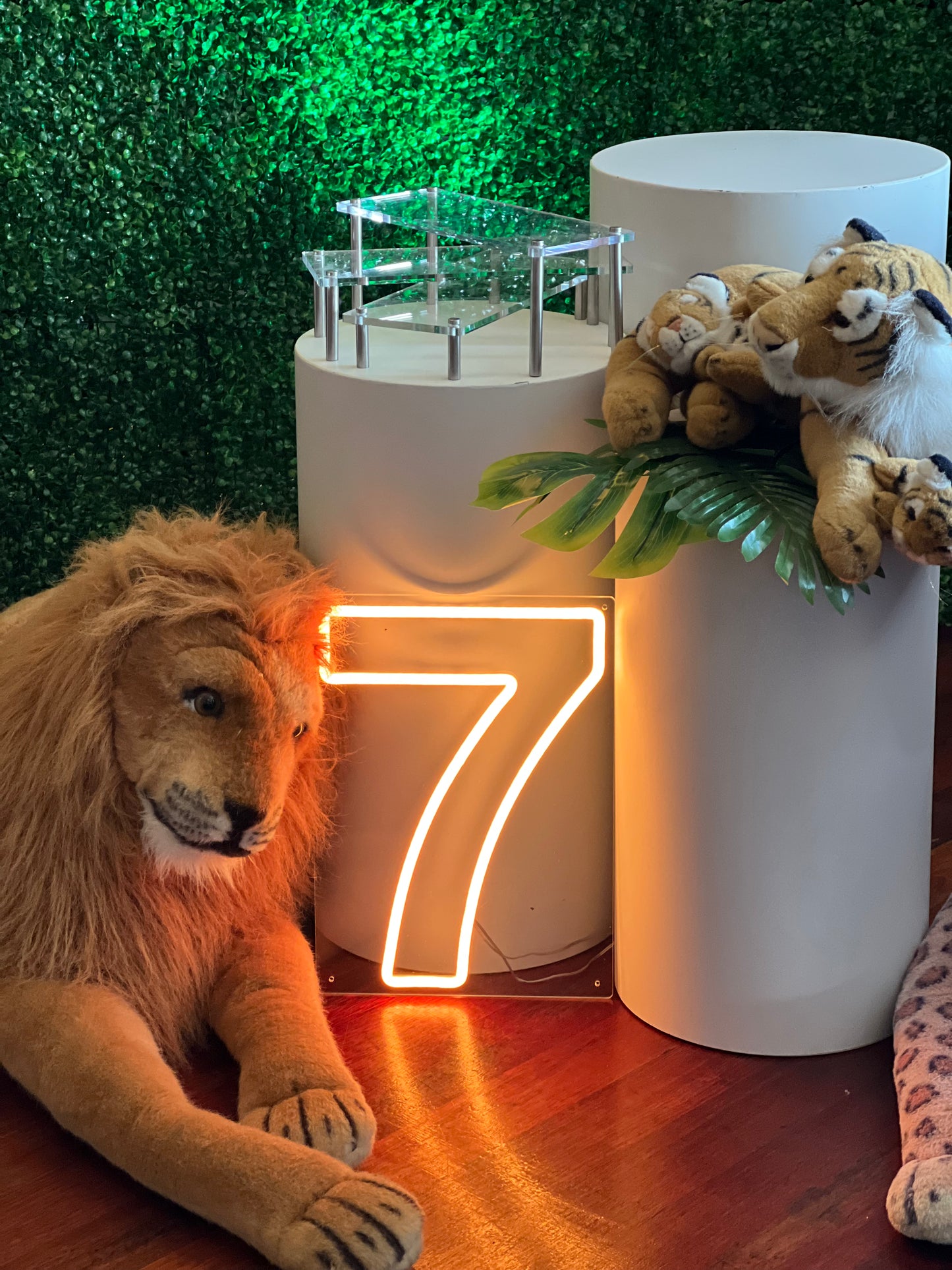 Plush Safari Animals Hire