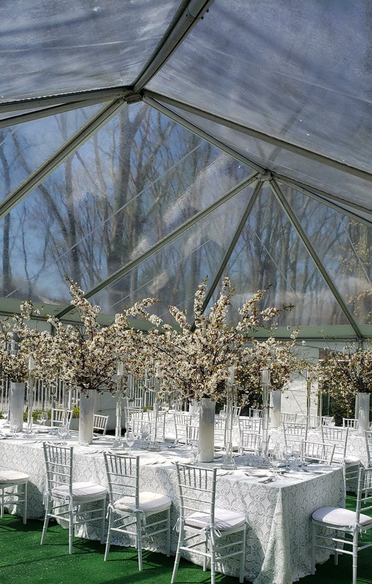 Chiavari Chairs Hire | WHITE Chairs