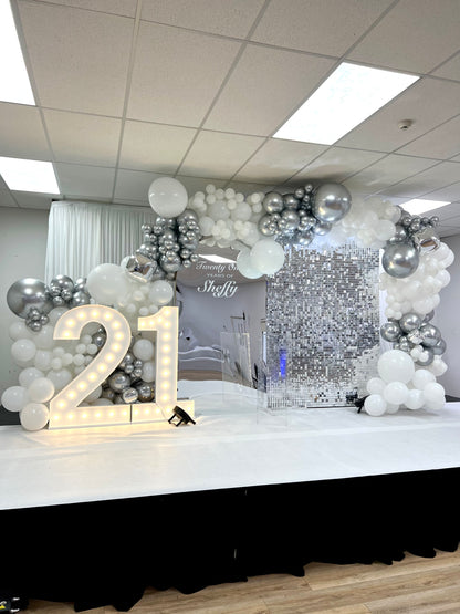 Silver Shimmer wall