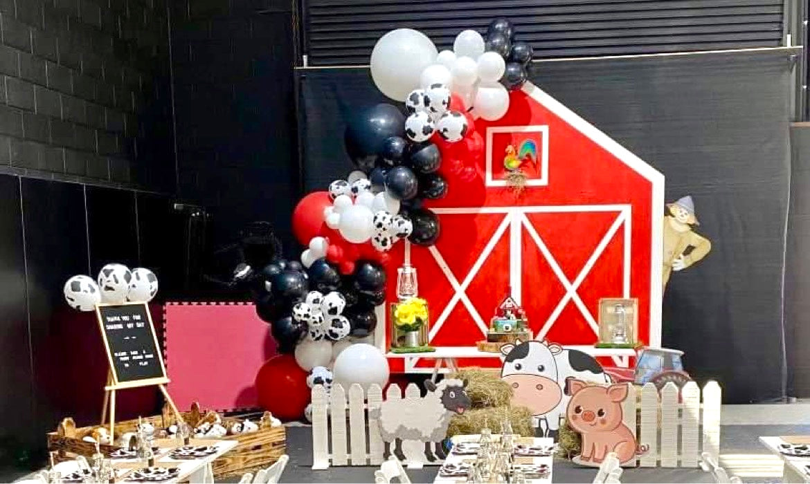 Barn/Farm Theme Birthday